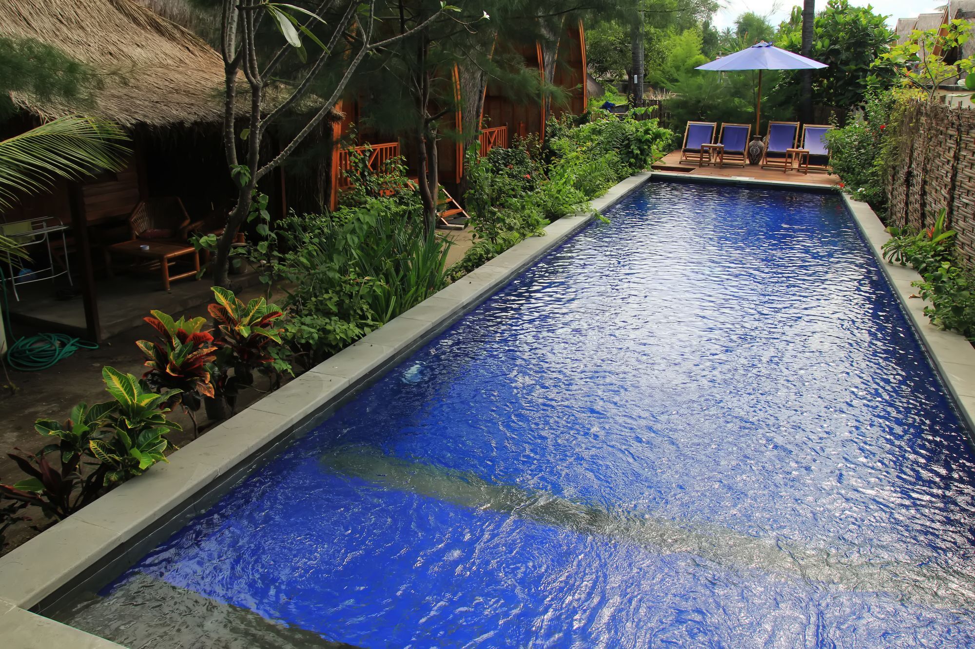 Damai Bungalows Gili Air Extérieur photo
